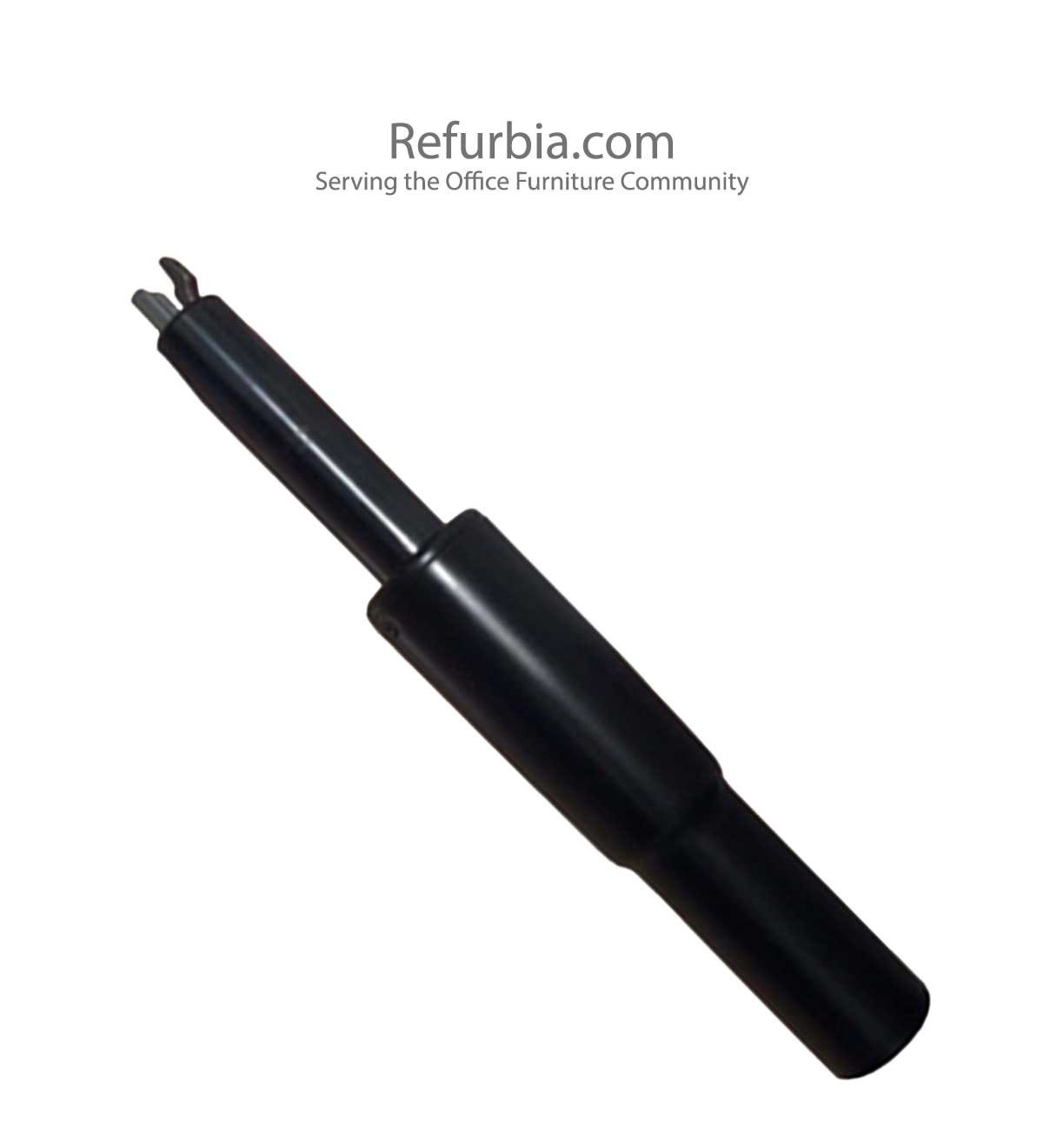 Haworth Fern Clone Cylinder