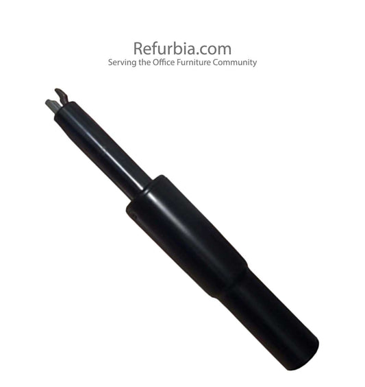 Haworth Fern Clone Cylinder